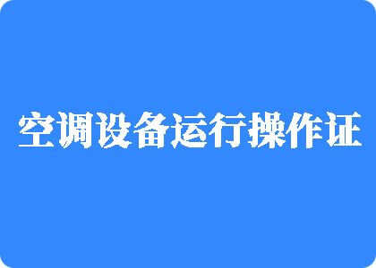 三级片三男人操一个女人小逼制冷工证